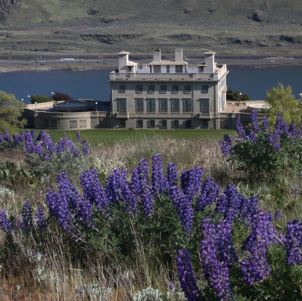 Stunning Wildflowers from Spring to Fall at Maryhill Museum of Art 1 Stunning Wildflowers from Spring to Fall at Maryhill Museum of Art - Maryhill Museum - Columbia Gorge